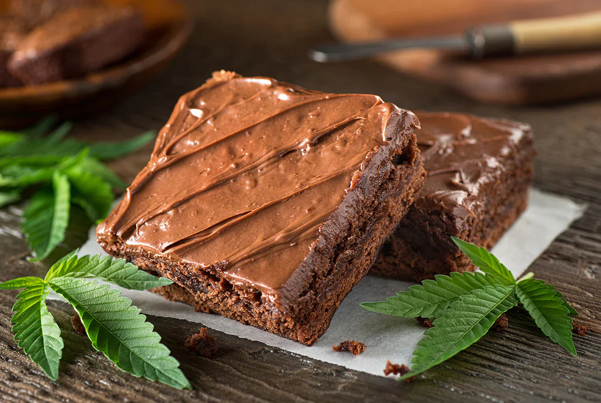 Caring with the touch of nature wth greeny